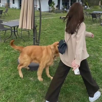 赌城小妹