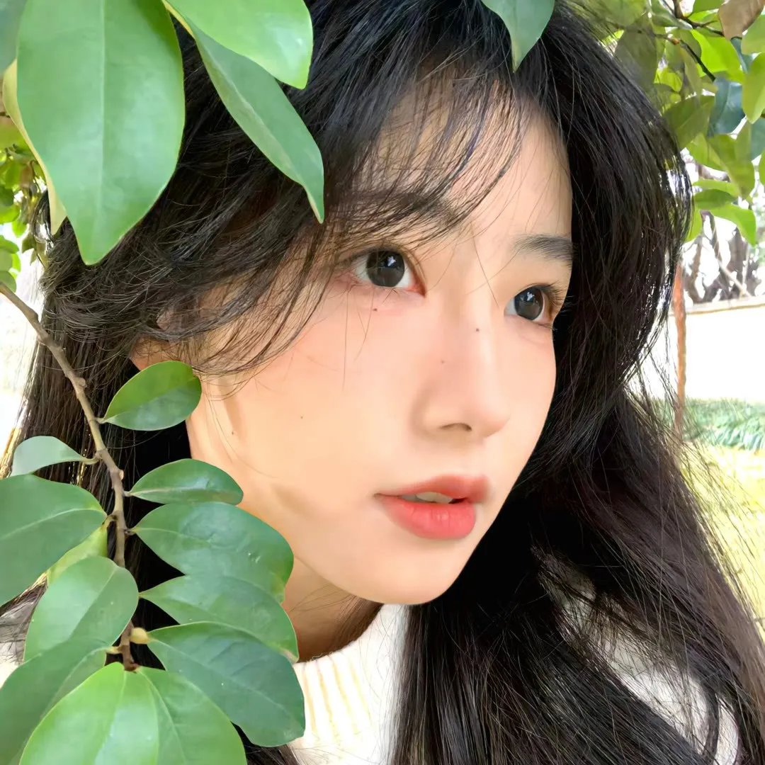 苍兰诀2影三界篇